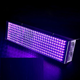 Đèn tia UV dùng cho công nghiệp Terino D200W-UV (395nm, 200W) - Hàng chính hãng