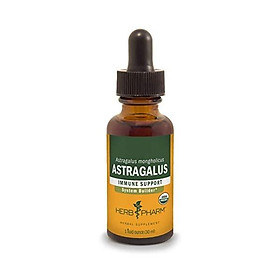Herb Pharm Certified Organic Astragalus Liquid Extract for Immune System Support - 4 Fluid Ounce