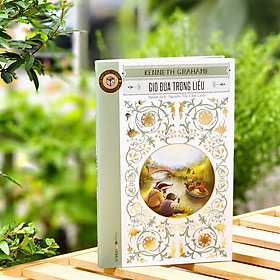 Sách - Gió Đùa Trong Liễu (Văn Học Kinh Điển) - Phiên Bản Bìa Mềm