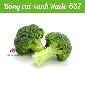 Hạt giống bông cải xanh Rado 687 gói 0,2gr - CHỊU NHIỆT
