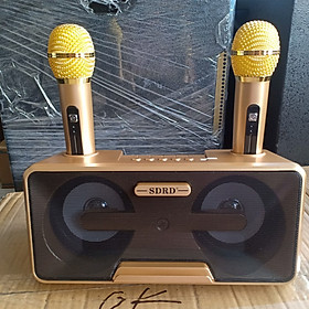 Mua Loa Karaoke Bluetooth SDRD - SD301 Hàng Chính hãng - Tặng 2 Mic Không Dây Siêu Hay