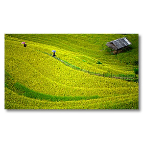 Tranh treo tường phong cảnh VIỆT NAM - In phun UV trên vải CANVAS