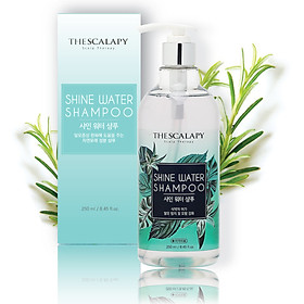 Dầu gội thảo dược Hàn Quốc Shine Water Trị rụng tóc, Kích thích mọc tóc, Cấp ẩm sâu cho tóc, Phù hợp người bị rụng tóc, hói đầu, tóc khô xơ gãy rụng, tóc mỏng, tóc yếu, tóc xoăn, Phụ nữ mang thai