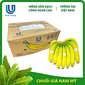 Chuối Tươi Union Trading - Thùng 13Kg - Thơm Dẻo, Giàu Dinh Dưỡng - Trồng Công Nghệ Cao Tại Việt Nam