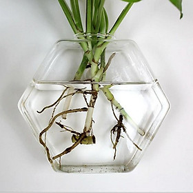 2x Wall Hanging Planter Glass Hydroponic Vase Plant Pot Terrarium Hexagon