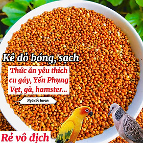 Hạt kê, kê đỏ hạt bóng cho chim cảnh, Vẹt, chim Yến Phụng, chim cu gáy, Hamster và các dòng chim sẻ