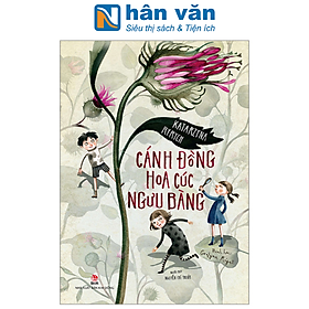 Cánh Đồng Hoa Cúc Ngưu Bàng