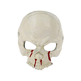 Halloween Skull  Costume Accessories Decoration for Masquerade Dress up