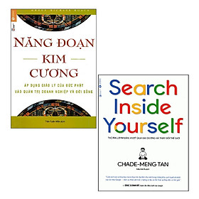 Hình ảnh Sách Thái Hà - Combo: Năng Đoạn Kim Cương + Search Inside Yourself