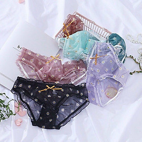 10 quần lót ren hoa cúc đáy cotton kháng khuẩn cao cấp
