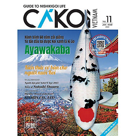 Cá Koi Vietnam - Tập 11 - Grafica