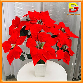 Mua Chậu Hoa Giả Chậu Hoa Trạng Nguyên Đỏ May Mắn Decor Phong Thuỷ Trang Trí Nhà Cửa DG-175