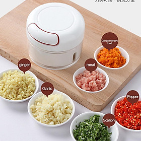 Mua Máy xay tỏi ớt cầm tay Mini Food Chopper