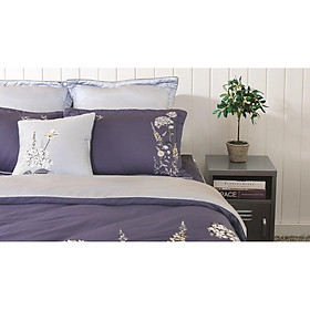 Mua Vỏ gối nằm esm19017 everon 4565 (1 cái)