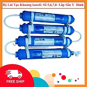 Bộ Lõi Tạo Khoáng Số:  5,6,7,8  Lắp Đặt Sẵn Y Hình