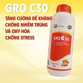 GRO C30 - Cung cấp vitamin C giúp tăng sức đề kháng, giảm stress
