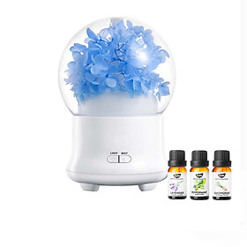 Máy Phun Sương Mini Cẩm Tú Cầu | Giúp Tạo Ẩm, Xông Phòng, Đuổi Muỗi | Tặng 3 Chai Tinh Dầu Kobi Sả Chanh + Bạc Hà + Oải Hương Nhập Khẩu Ấn Độ