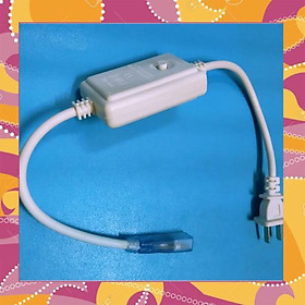 Mua DÂY NGUỒN LED CUỘN 3014/2835/5730/5050 CÓ CHỚP NHẤP NHÁY