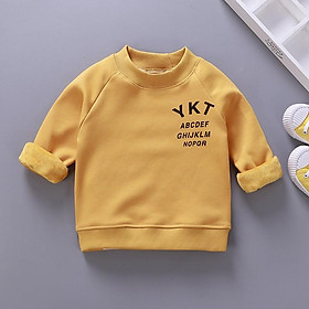 Áo nỉ bông bé trai (LOẠI ĐẸP) in hình khủng long chất bông tự nhiên mềm mịn AN6