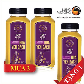 Mật ong chín HONIMORE Hoa Yên Bạch 500g _ Mật ong chín Tây Bắc Mua 2 tặng