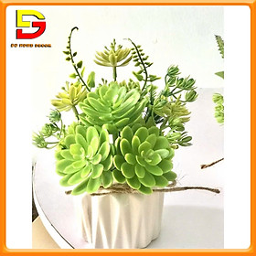 Mua Hoa Giả  Chậu Hoa Mini Để Bàn Cắm Sẵn Nhiều Mẫu Siêu Đẹp Trang Trí Bàn Trà  Kệ Tủ  Quán Cafe DG-26