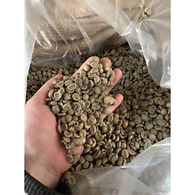 0.5kg_Nhân Cà phê sống ROBUSTA S18 CHỌN LỌC