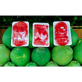 Cây giống bưởi da xanh ruột đỏ thái lan