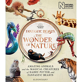 Sách khoa học tiếng Anh Fantastic Beasts The Wonder Of Nat