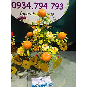 Cây tài lộc trái cây mini 30cm Trái Quýt thành phẩm