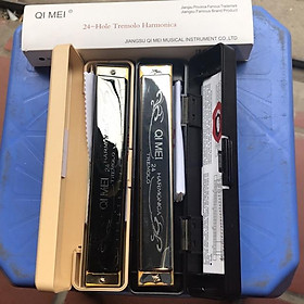 Mua Harmonica 24 lỗ tremolo