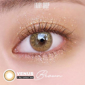 Lens 1 Ngày Venus Brown - Kính Áp Tròng Cao Cấp 1 Ngày FAIRY SHOP CONTACT LENS