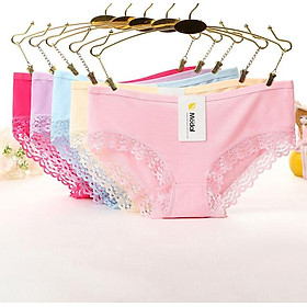Combo 8 Quần Lót Nữ Coton Phối Ren MS1329