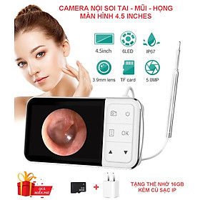Mua ROGTZ - Camera Nội Soi Tai Mũi Họng Màn Hình 4.5Inches Chụp Ảnh Ghi Hình Full HD 1080p Ống Soi 3.9mm 6 LED Làm Sạch Ráy Tai Dễ Sử Dụng Tiện Lợi Chăm Sóc Sức Khỏe Gia Đình Hỗ Trợ Nhiều Ngôn Ngữ  Lưu Trữ Hình Ảnh Video Pin Sạc Li-ion Hàng Chính Hãng