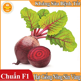 Hình ảnh Hạt giống Củ Dền Đỏ ( Gói 5 Gram ) - Nông Sản Vàng