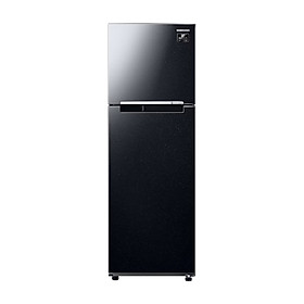 SAMSUNG Tủ Lạnh Ngăn Đông Trên với Digital Inverter, 264L - Hàng chính hãng