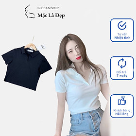 Áo croptop có cổ polo V nữ dáng suông tay ngắn chất cotton Simple cao cấp màu đen trắng đi chơi, đi làm