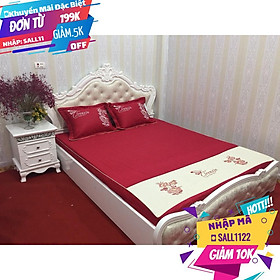 Mua Bộ 1 Ga Kèm 2 Vỏ Gối Nằm Satin Cao Cấp ( Màu ĐỎ ĐÔ )