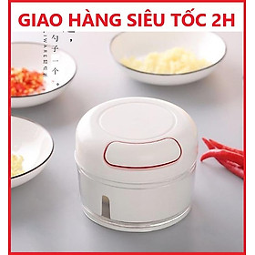  DỤNG CỤ XAY TỎI - ỚT - HÀNH CẦM TAY MINI CỰC KỲ TIỆN DỤNG VỚI MẪU MÃ ĐẸP TÂN TIẾN