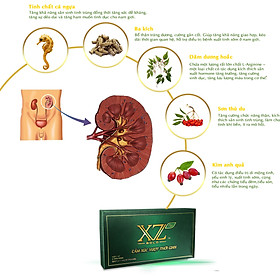 Thực Phẩm Bảo Vệ Sức Khỏe Viên Nang XZ Plus Gold - Tăng cường sinh lý - Hạn chế quá trình mãn dục nam