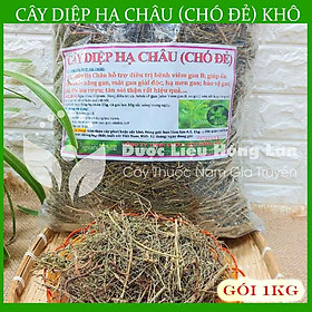 Mua Cây Diệp Hạ Châu (Cây Chó Đẻ) khô 1kg