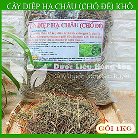 Cây Diệp Hạ Châu (Cây Chó Đẻ) khô 1kg