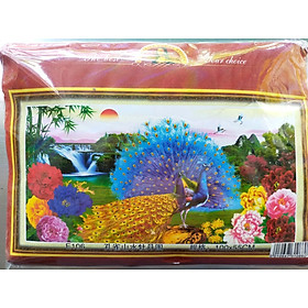 Mua Tranh thêu chữ thập chim công bên hoa E106 - 100 x 55 cm - chưa thêu