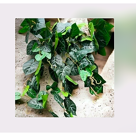 Mua Cụm lá rủ giả  dây leo trang trí  cụm lá treo tường trang trí ban công nhà cửa  nhà hàng  quán ăn