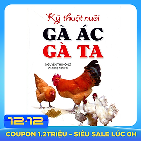 Kỹ Thuật Nuôi Gà Ác, Gà Ta
