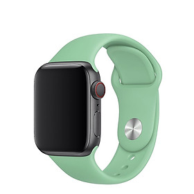 Dây đeo silicone cao cấp cho Apple Watch màn hình 42/44mm (Mọi series- Hàng nhập khẩu)
