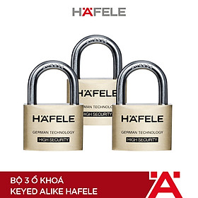 Bộ 3 ổ khoá Keyed Alike Hafele - 482.01.975 (Hàng chính hãng)