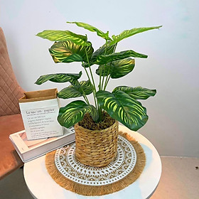 Mua Chậu cây trang trí để bàn kèm giỏ y hình các loại - Cao 35cm đến 48cm - Cây giả  hoa lụa Decor trang trí nhà cửa