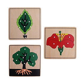 Montessori Botany Material-3 Plant Shape Puzzles for Baby Early Development