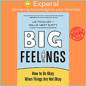 Sách - Big Feelings : How to Be Okay When Things Are Not Okay by Liz Fosslien Mollie West Duffy