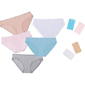 Combo 06 quần lót nữ cotton Vera